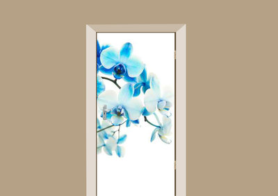 Orchidee blauw